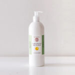 Home sanitizer