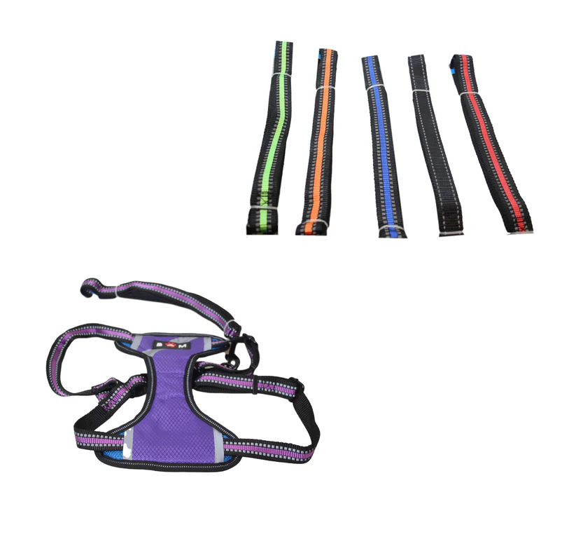 adjustable dog harness & lead set small pet walking harness assorted colours adjustable dog harness & lead set small pet walking harness assorted colours