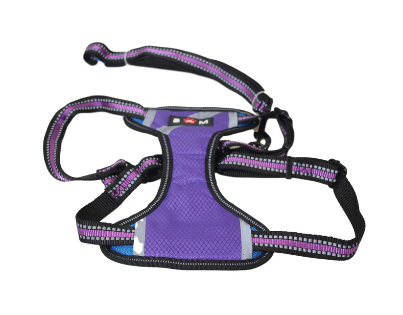 adjustable dog harness & lead set small pet walking harness assorted colours adjustable dog harness & lead set small pet walking harness assorted colours