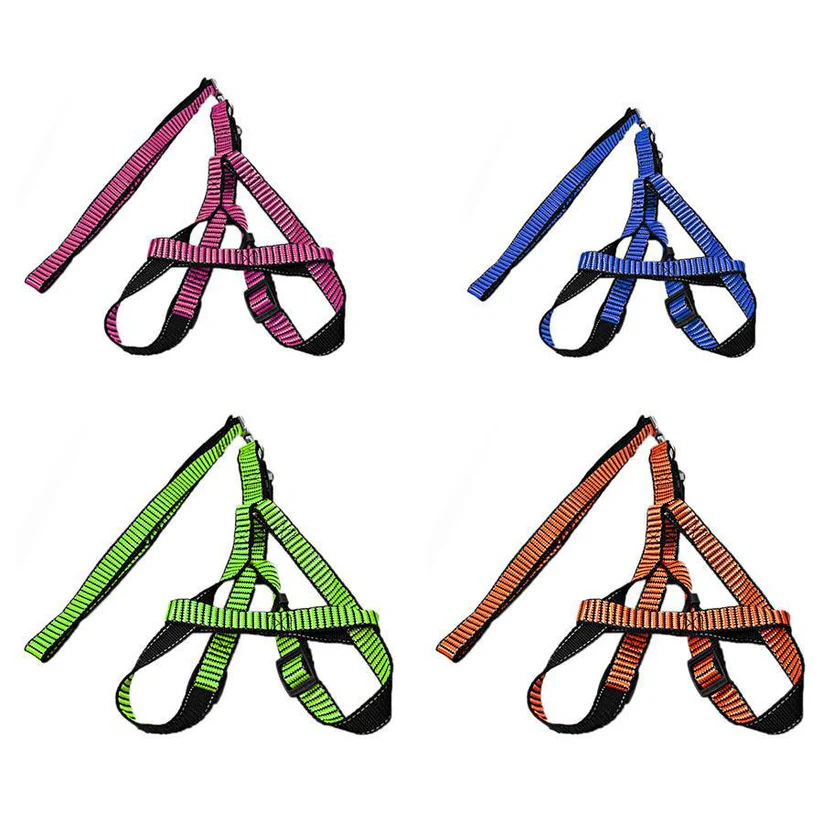 leash with harness – assorted colours everyday walking lead for dogs leash with harness – assorted colours everyday walking lead for dogs