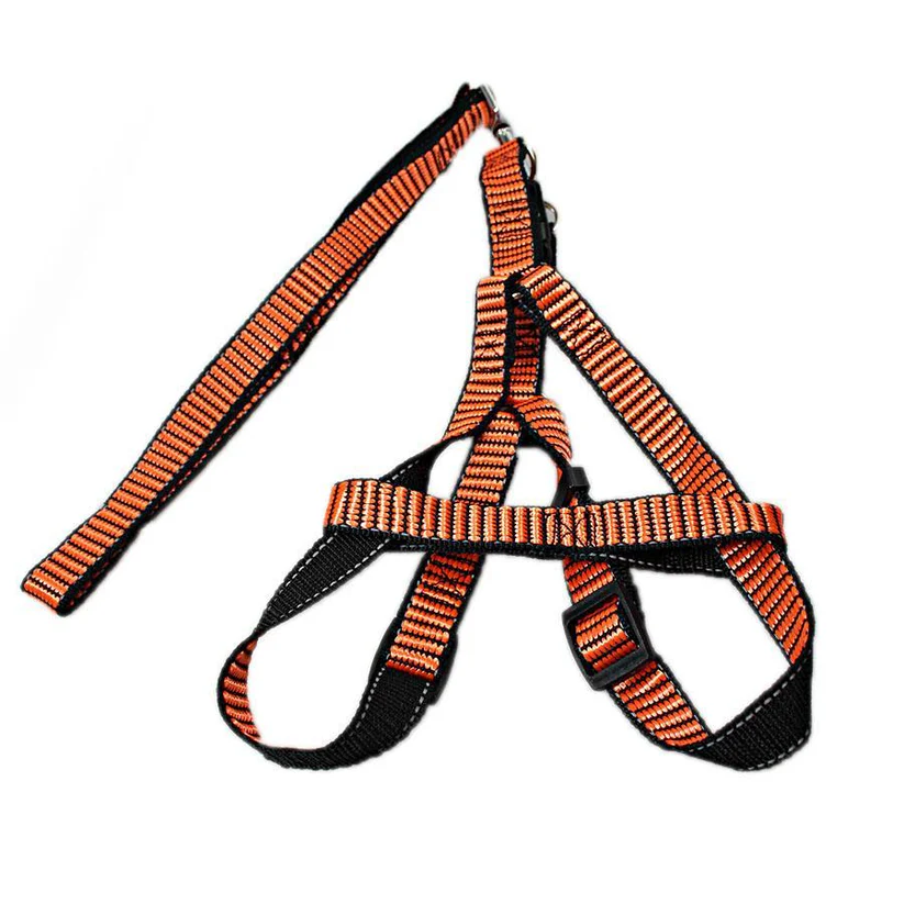 leash with harness – assorted colours everyday walking lead for dogs leash with harness – assorted colours everyday walking lead for dogs
