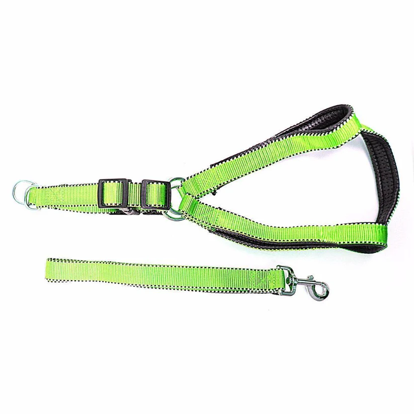 reflective nylon dog leash & extra strong harness set | lightweight bright safety walking gear reflective nylon dog leash & extra strong harness set | lightweight bright safety walking gear