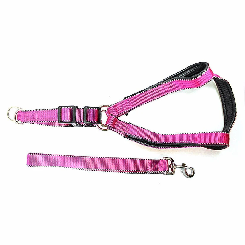 reflective nylon dog leash & extra strong harness set | lightweight bright safety walking gear reflective nylon dog leash & extra strong harness set | lightweight bright safety walking gear