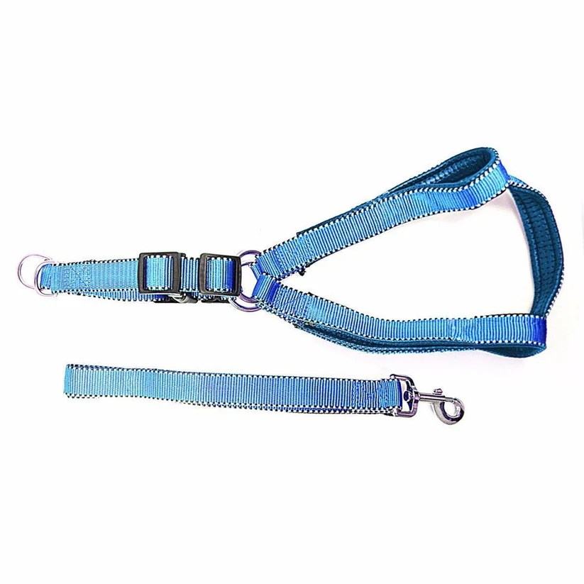 reflective nylon dog leash & extra strong harness set | lightweight bright safety walking gear reflective nylon dog leash & extra strong harness set | lightweight bright safety walking gear